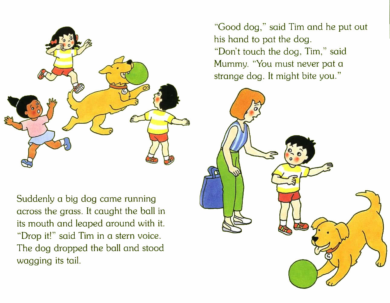Ladybird - Topsy Tim Books - Go To The Park (09),绘本,绘本故事,绘本阅读,故事书,童书,图画书,课外阅读